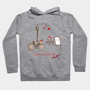 Love is in the air Hoodie